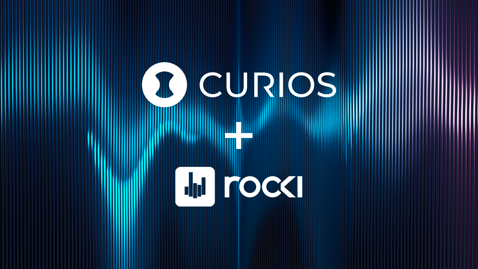 Curios + Rocki